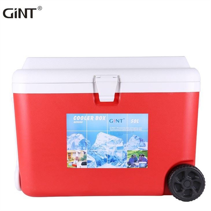 All Sizes Leakproof Foam Insulation Camping Fishing Hiking Hard Ice Cooler Box Set