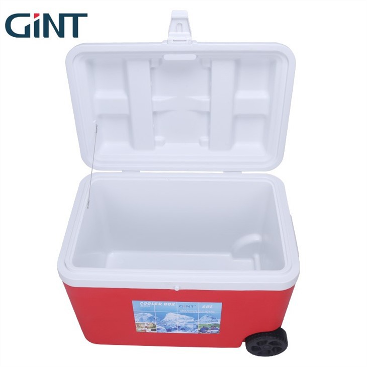 Large Cooler Box